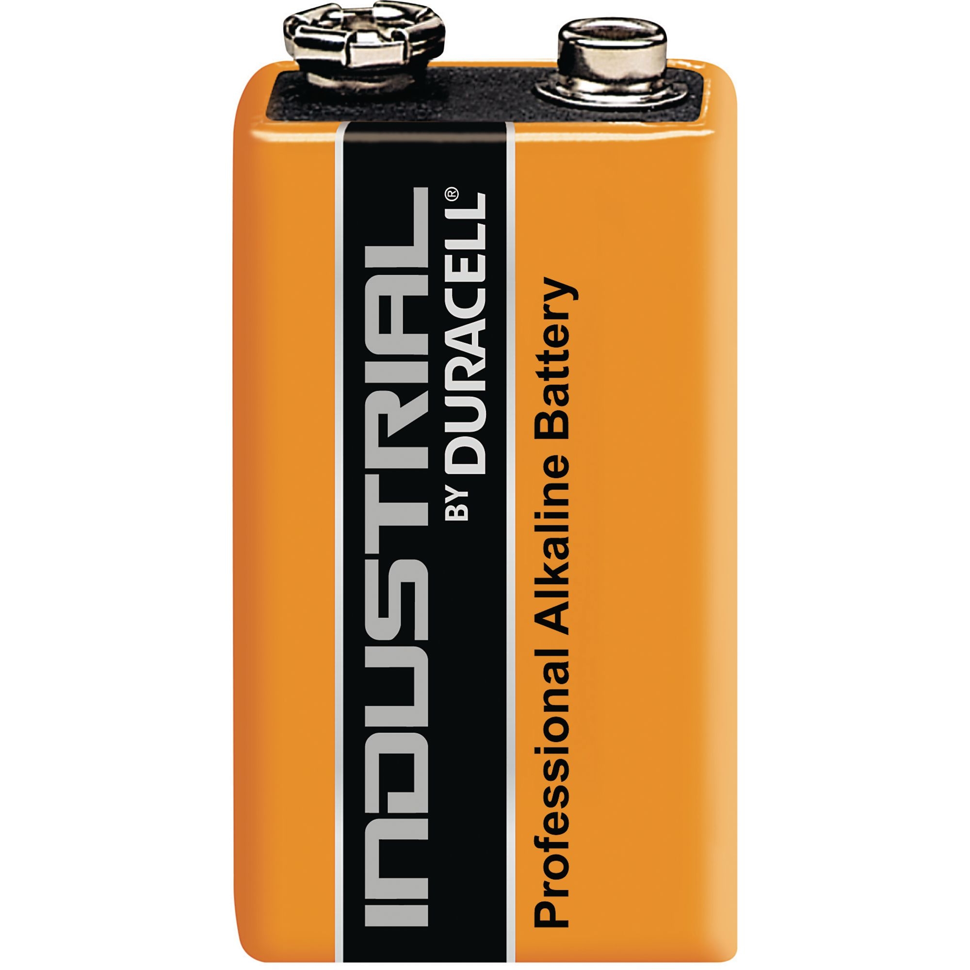 Industrial Alkaline Battery 9V 6LR61 P10